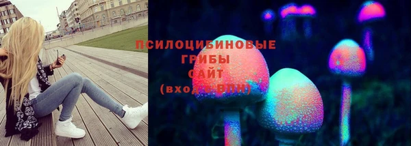 соль курить ск Надым
