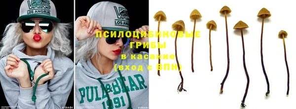 соль курить ск Надым