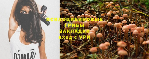 гидропоника Наволоки