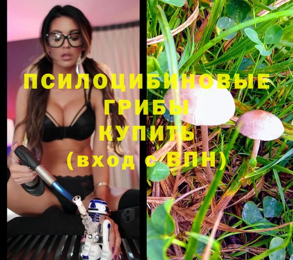 соль курить ск Надым